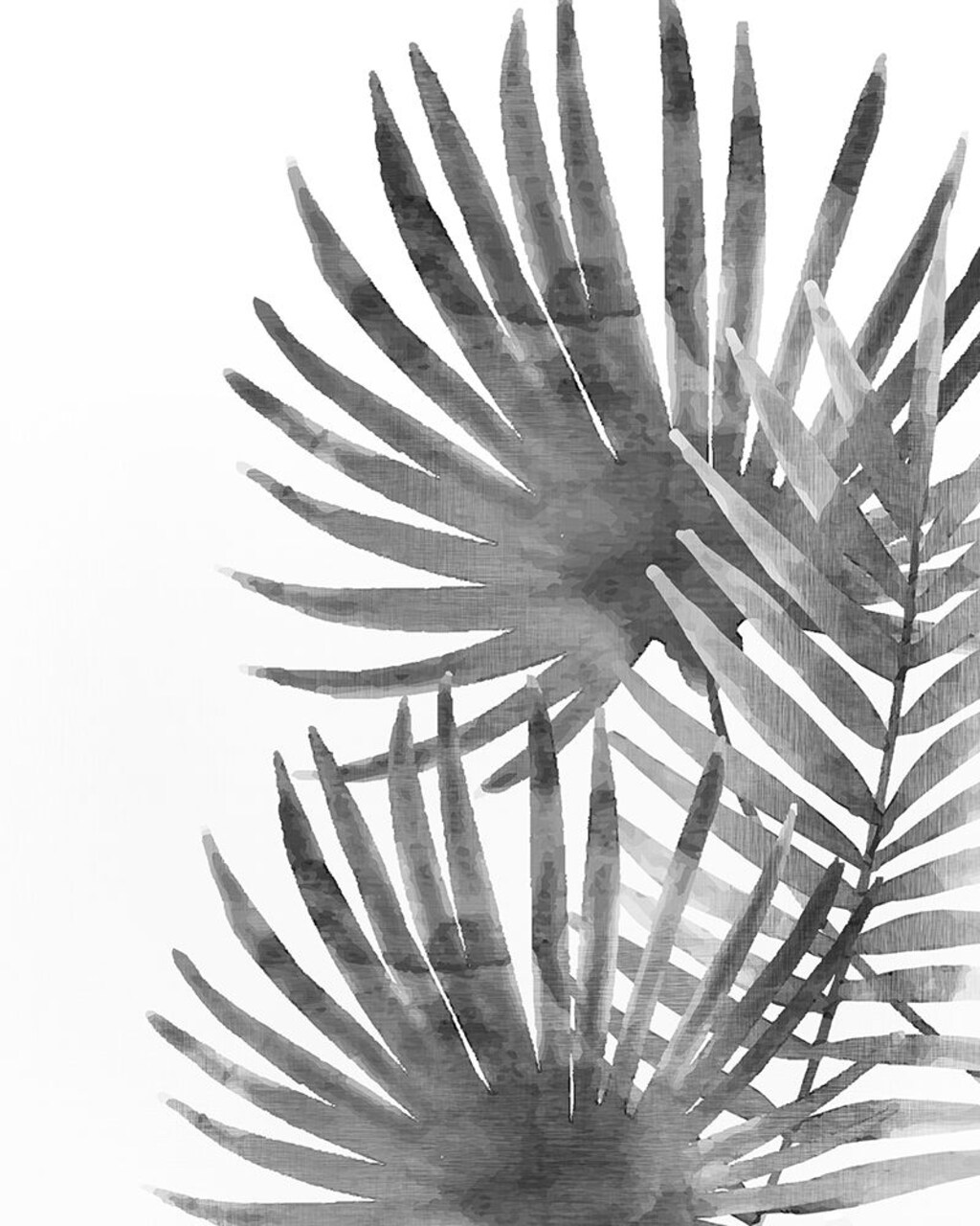 Ferns By Night 2 Poster Print by Allen Kimberly - Item # VARPDXKARC643B